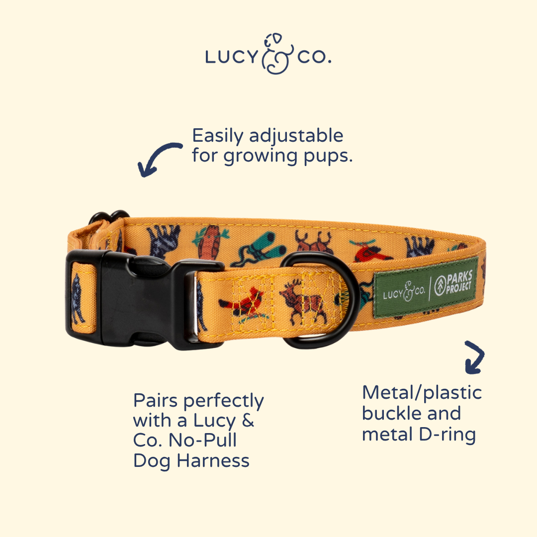 Lucy & Co. x Parks Project Naturalist Club Collar