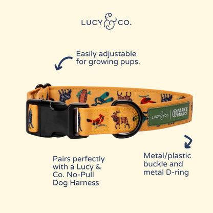 Lucy & Co. x Parks Project Naturalist Club Collar