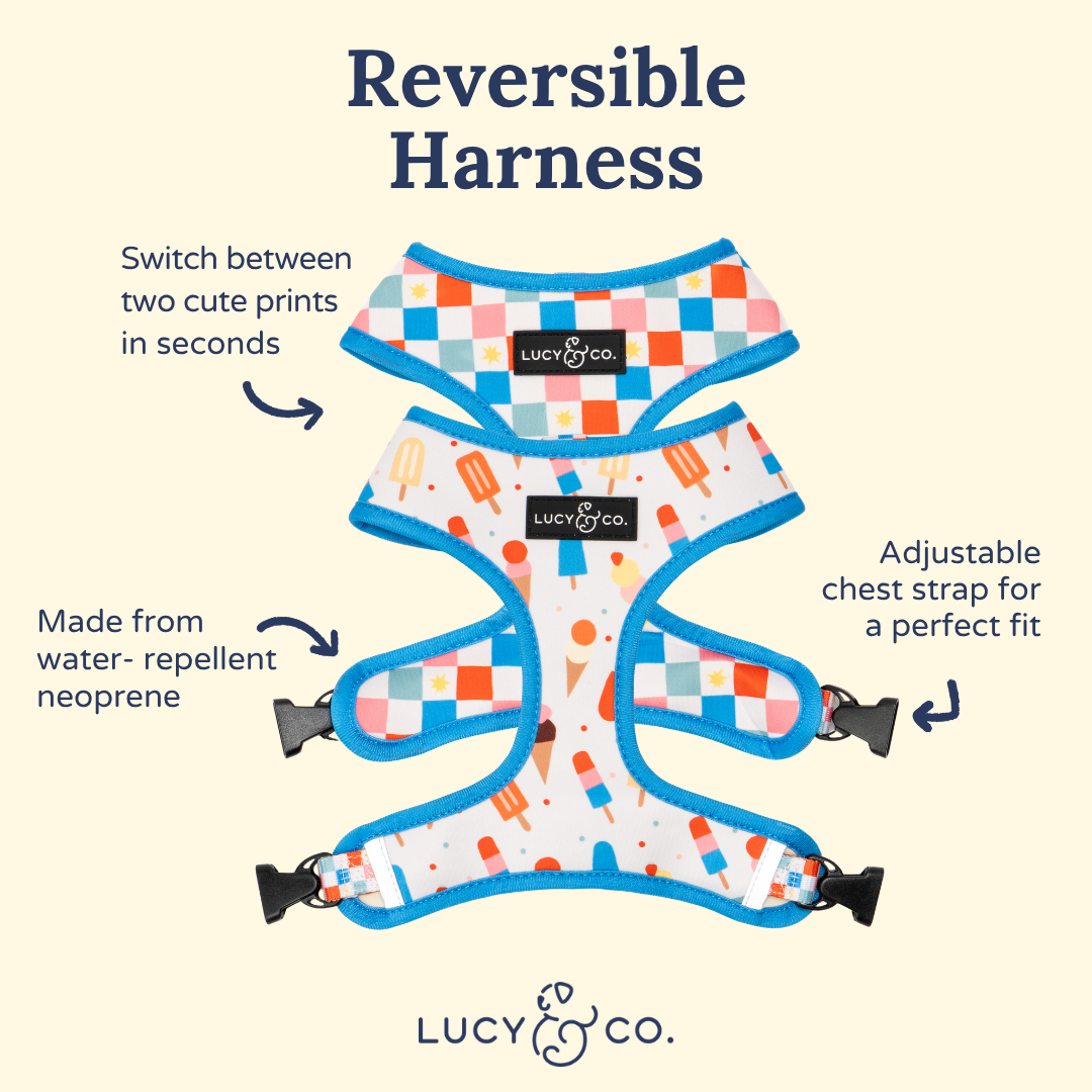 Sundae Kinda Love Reversible Neoprene Harness | Lucy & Co.