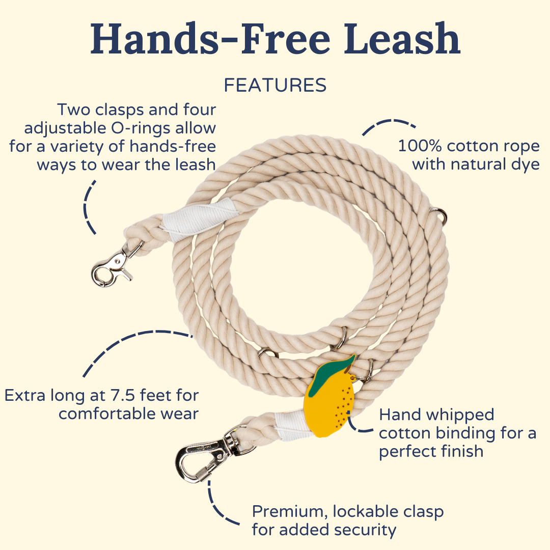 Main Squeeze Hands-Free Rope Leash