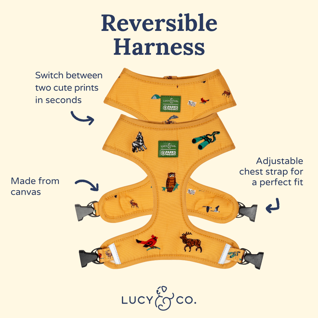 Lucy & Co. x Parks Project Naturalist Club Canvas Reversible Harness