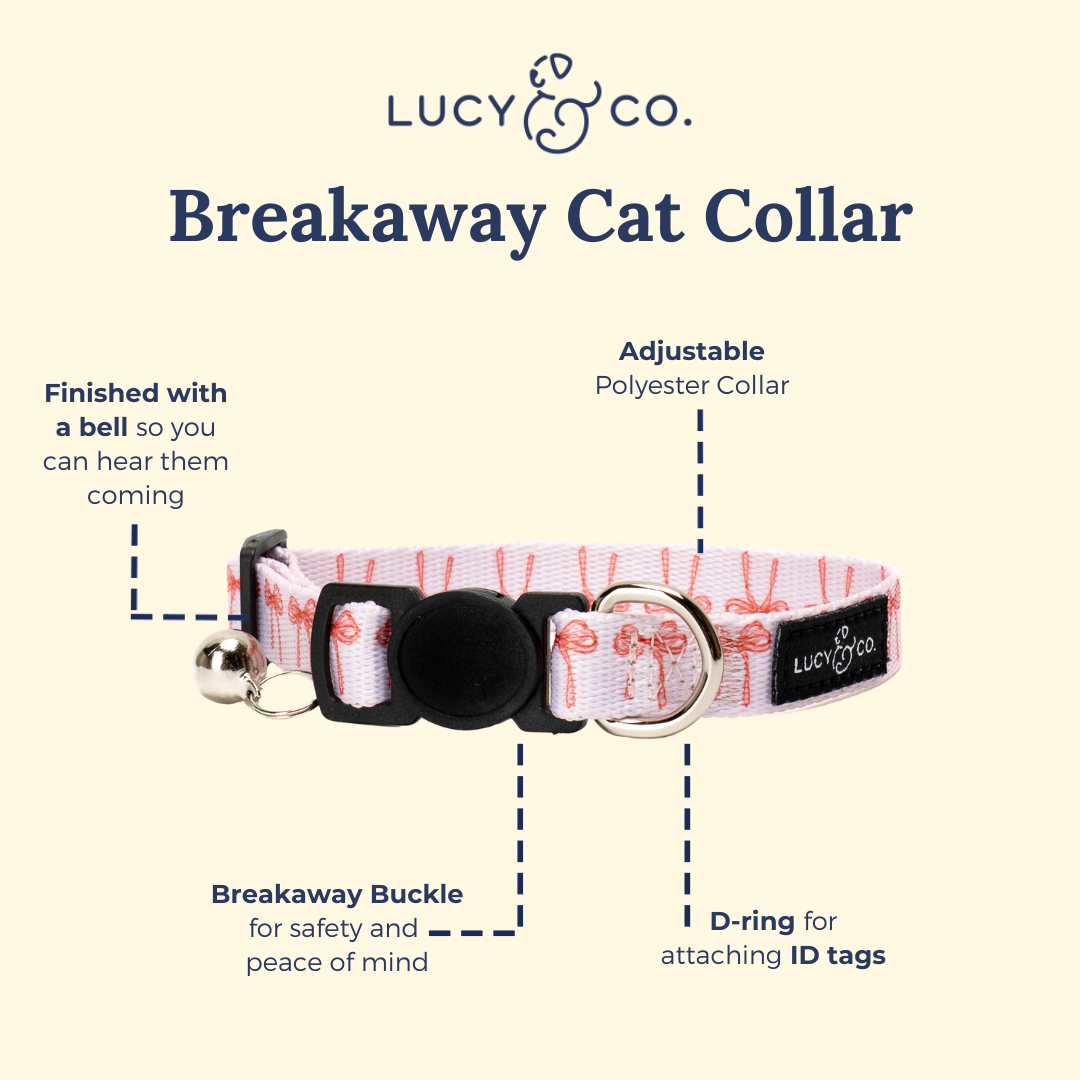 Take a Bow Breakaway Cat Collar