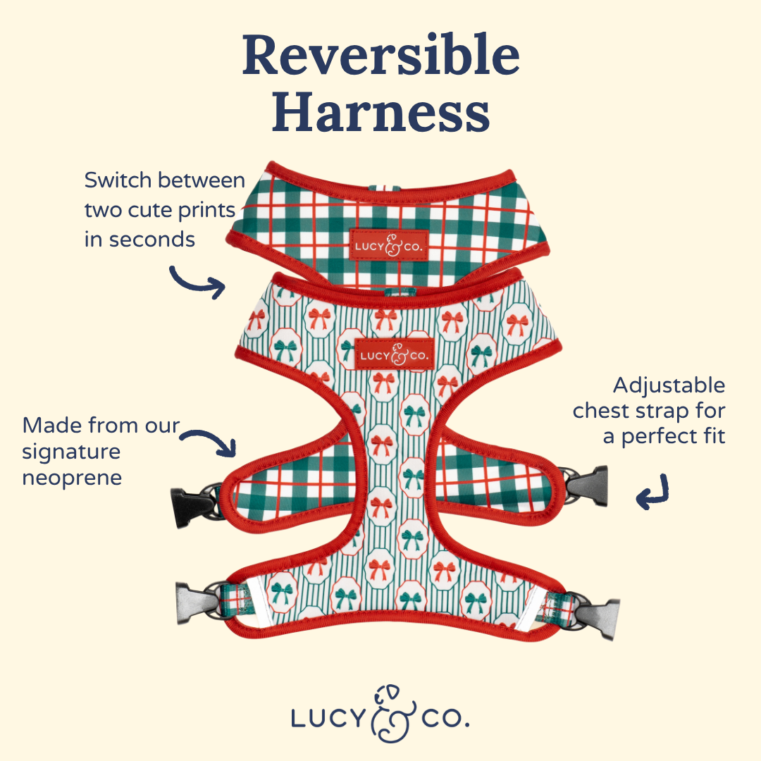 Wrap it Up Reversible Harness