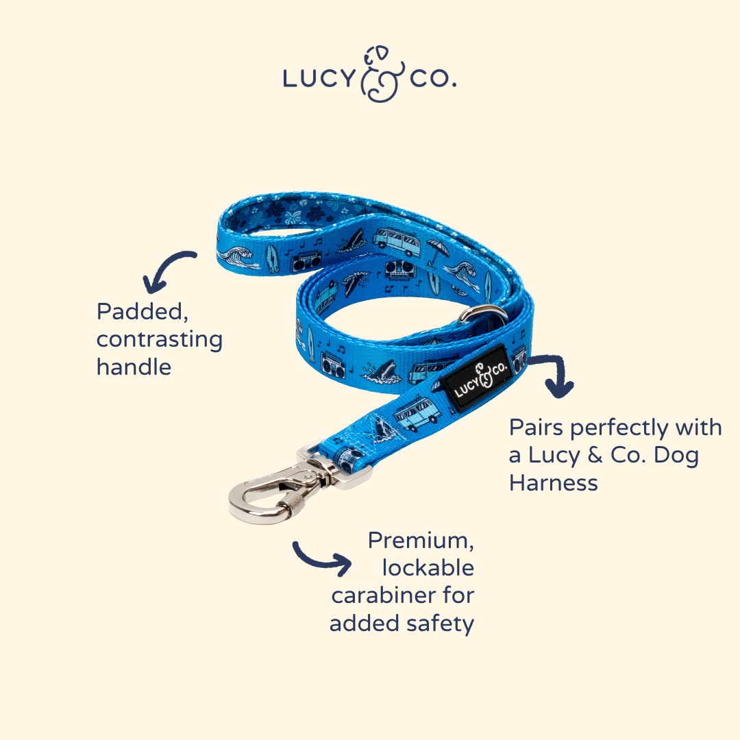 Catch a Wave Leash