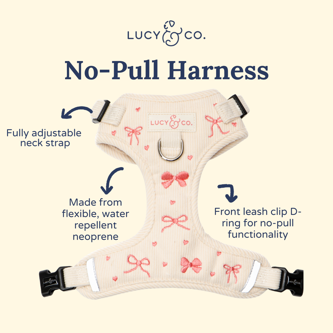 Ever So Sweet No-Pull Harness