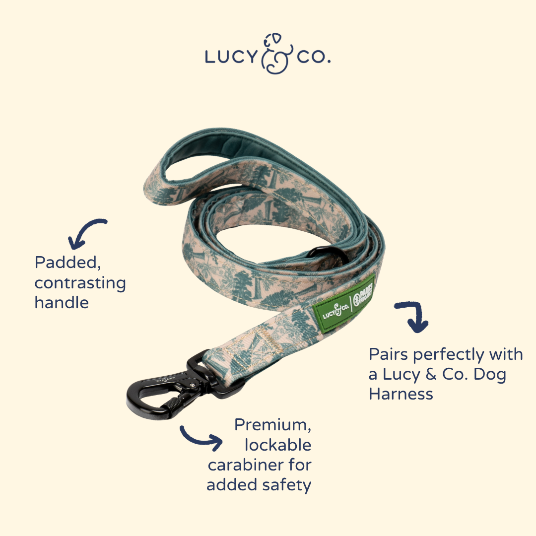 Lucy & Co. x Parks Project Sequoia Seedlings Leash