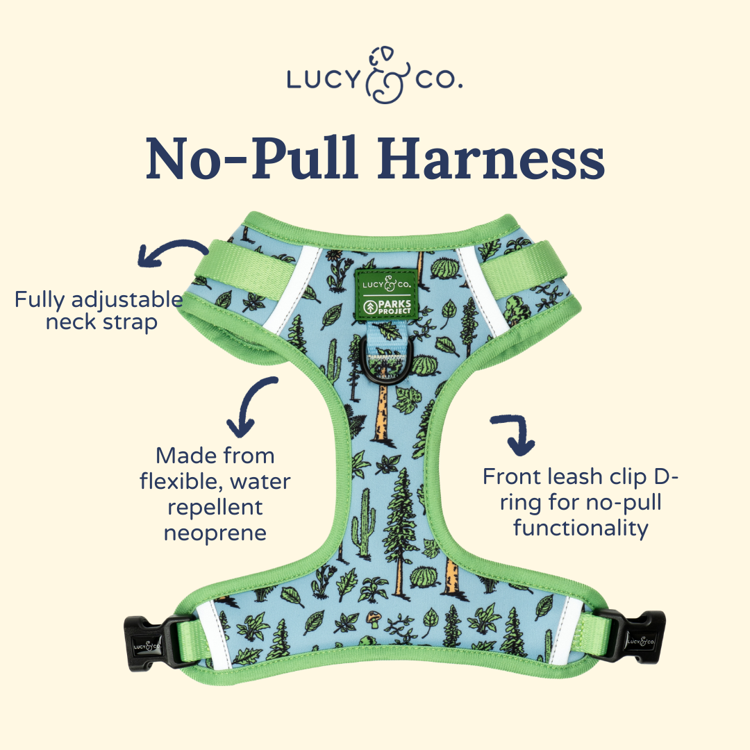 Feel the Earth Breathe No-Pull Harness