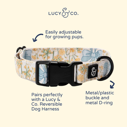 Sunshine and Daffodils Collar