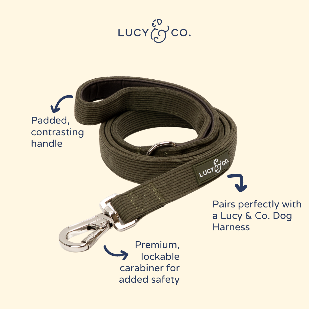 Take a Hike Corduroy Leash