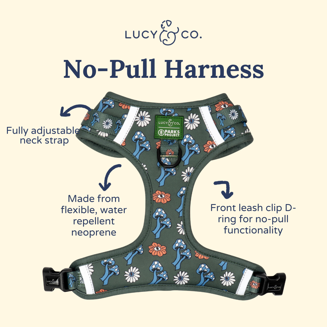 Power to the Parks No-Pull Harness