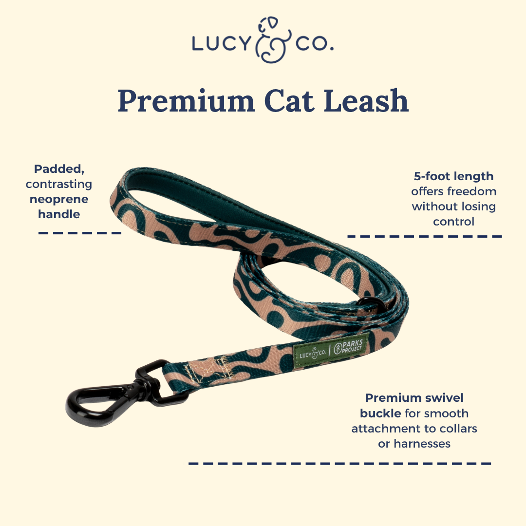 Lucy & Co. x Parks Project Geyser Cat Leash