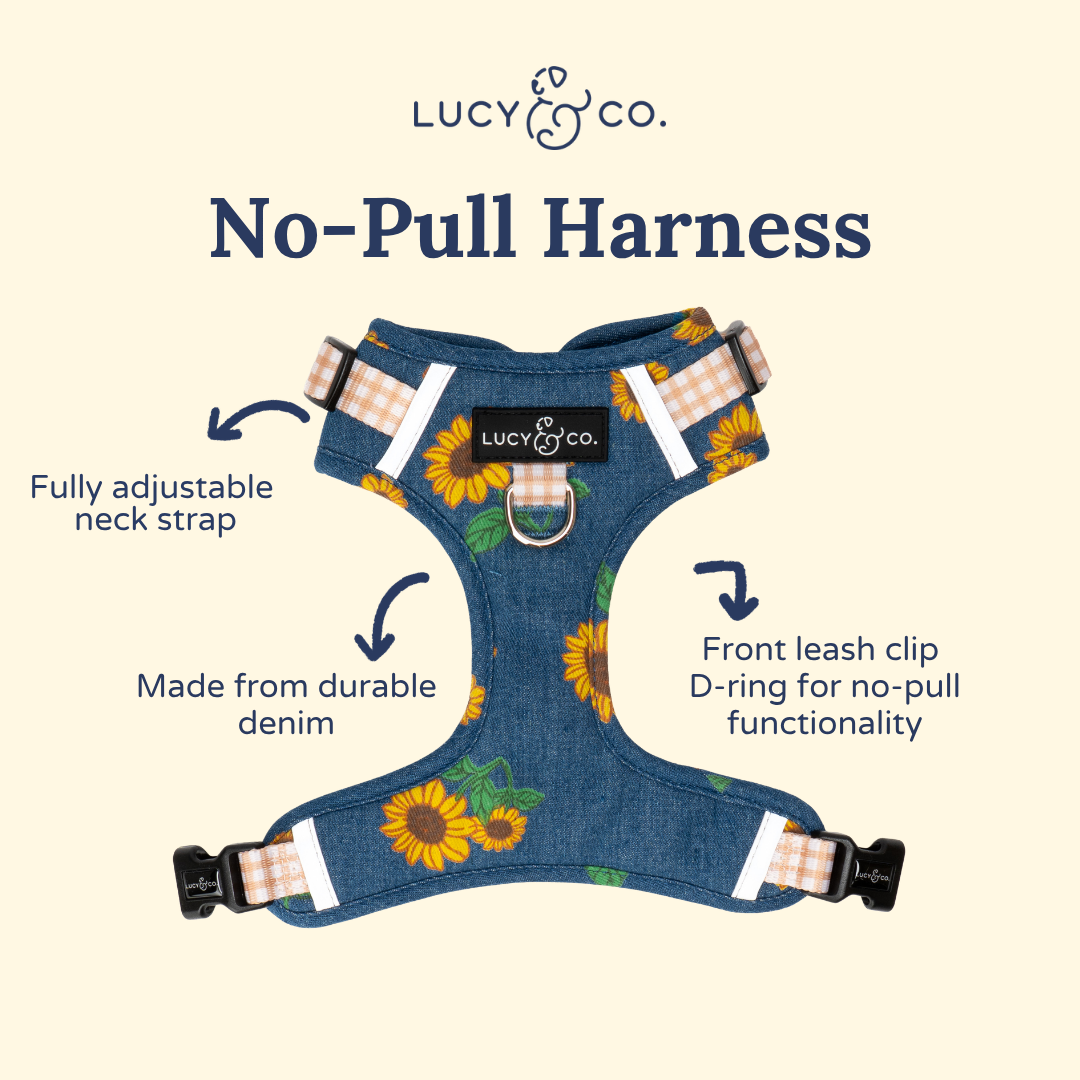 Sunflower Power Denim No-Pull Harness