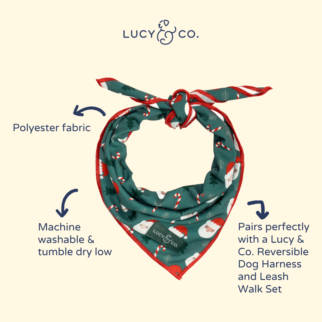 Santa Land Bandana