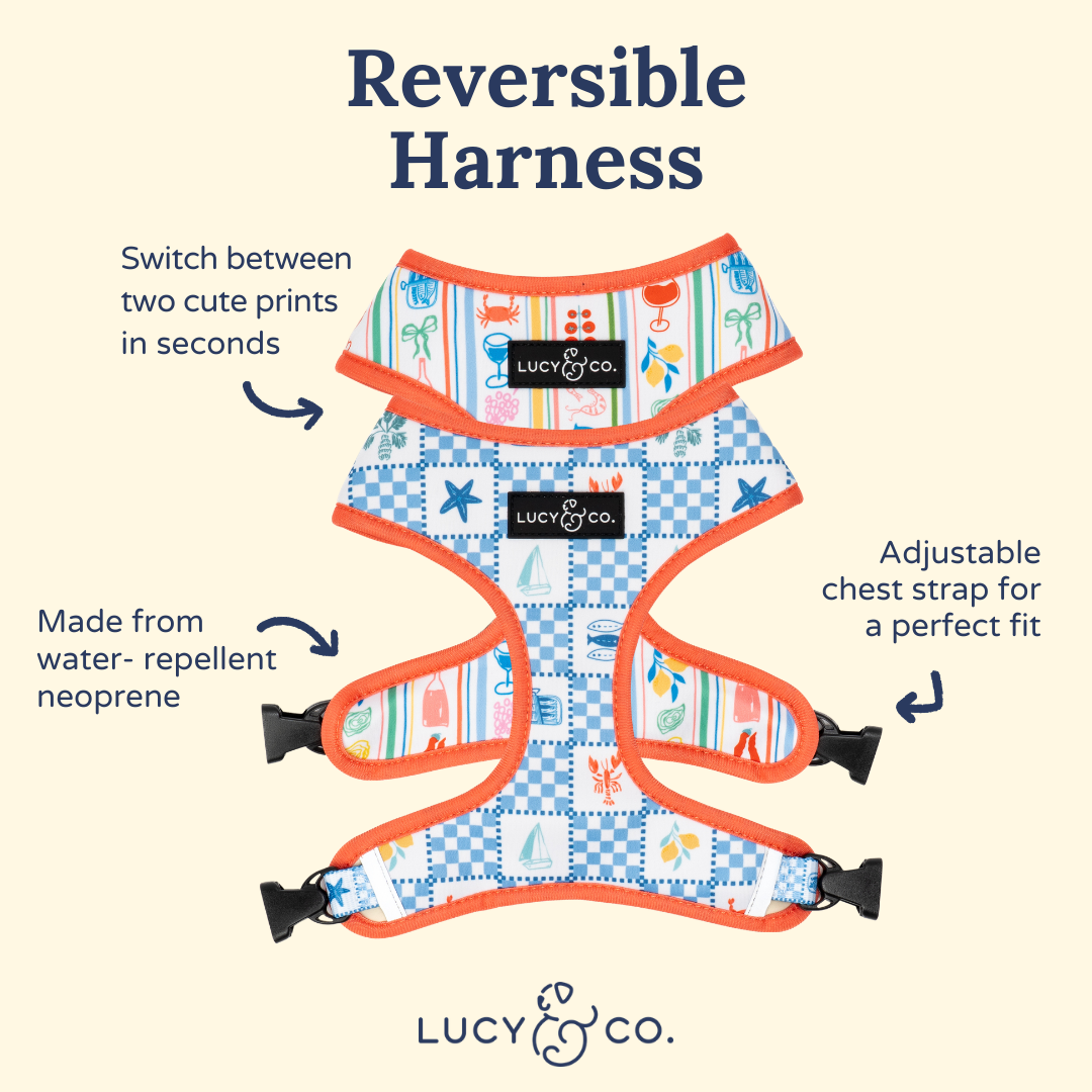 Sunny in Sicily Reversible Harness