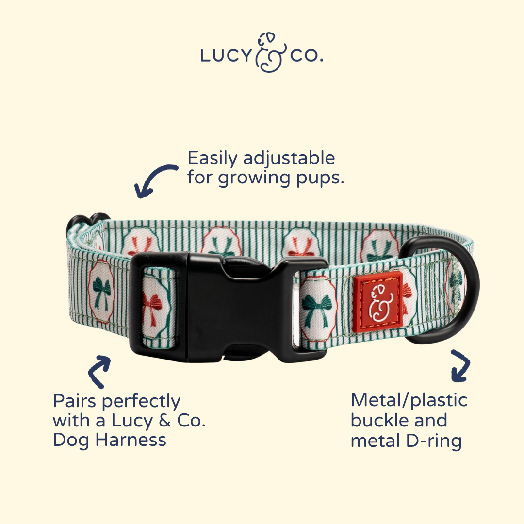 Wrap it Up Print Collar