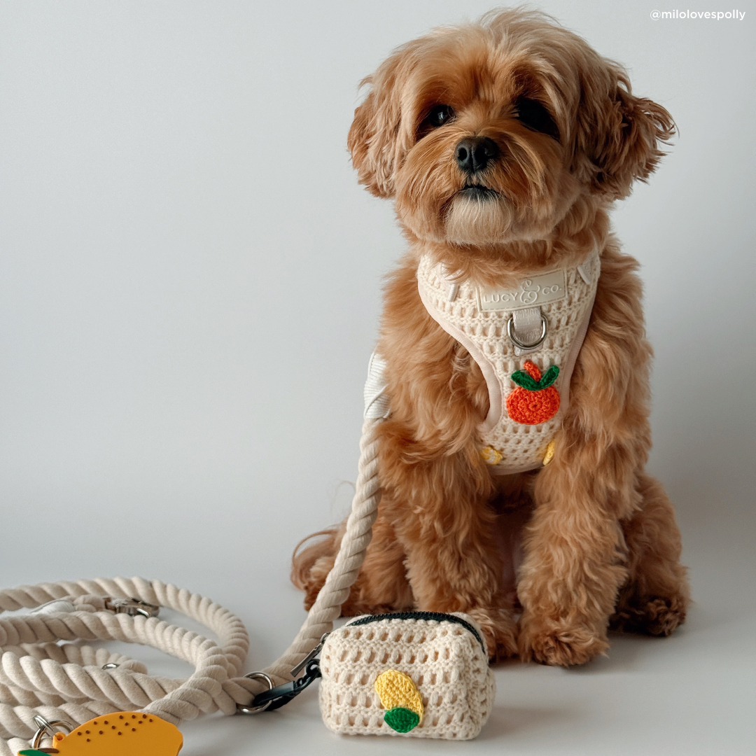 Main Squeeze Crochet No-Pull Harness