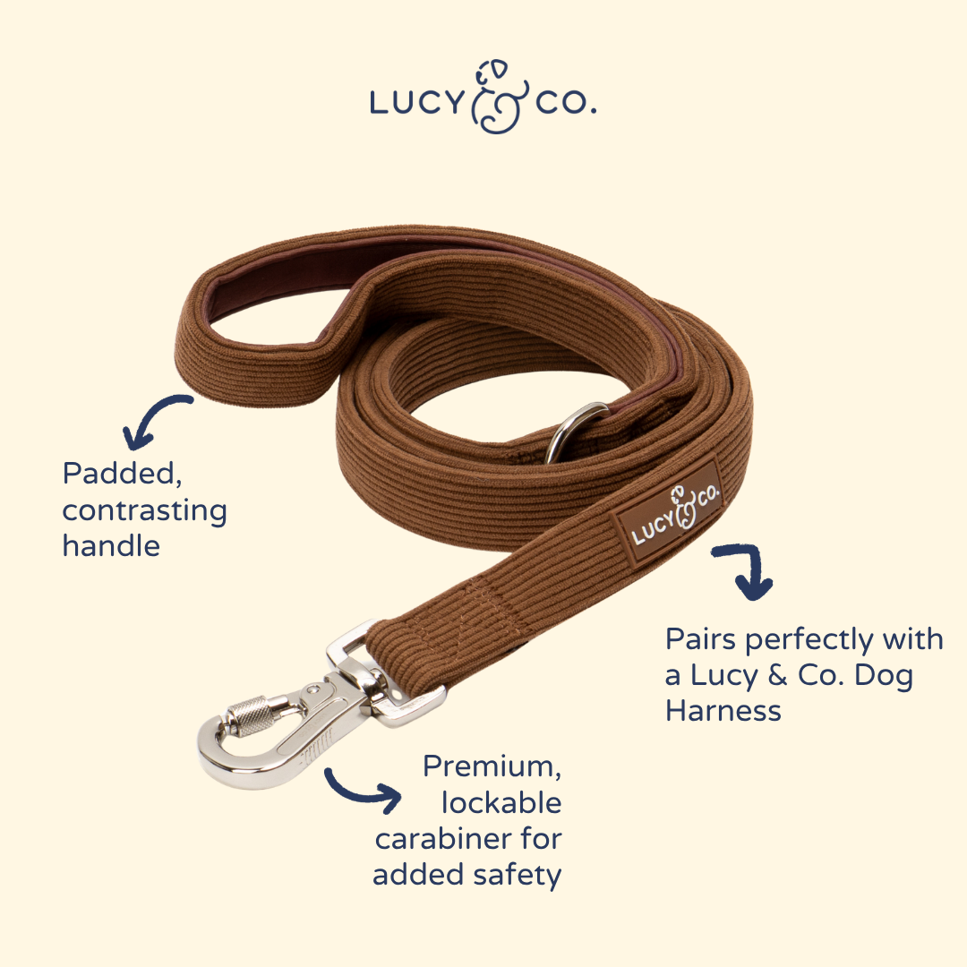 Chocolate Meadows Corduroy Leash