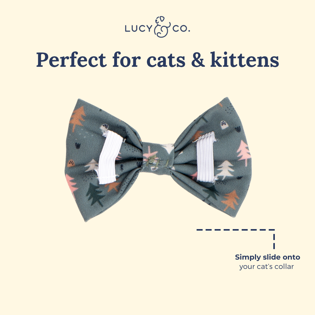 Take a Hike Cat (& Small Dog) Bow Tie