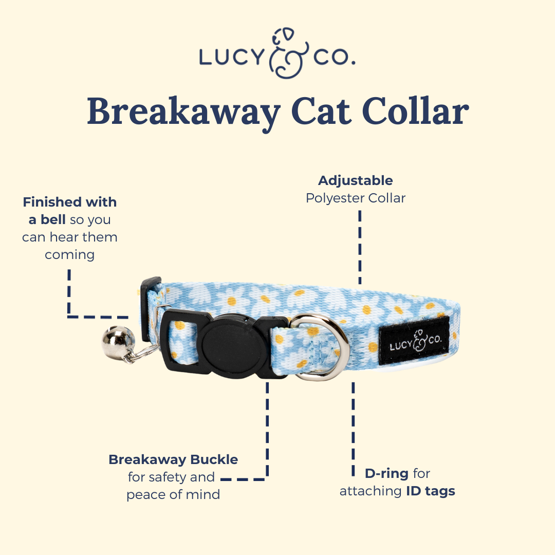 Simply Splendid Breakaway Cat Collar