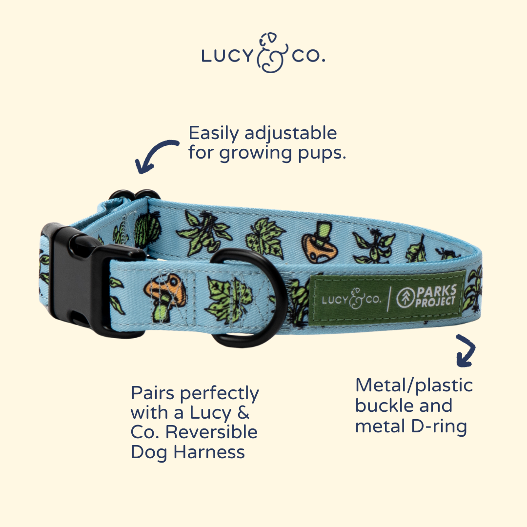 Feel the Earth Breathe Collar