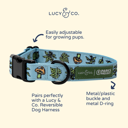 Feel the Earth Breathe Collar