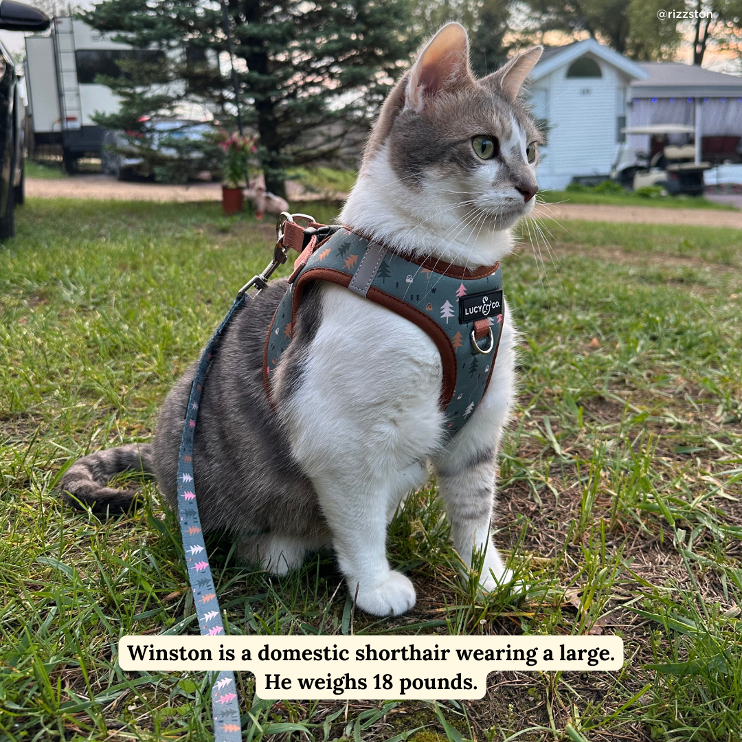 Take a Hike Step-in Cat Harness