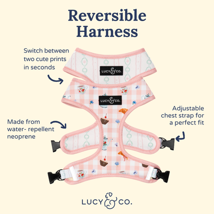 Sipping Slowly Reversible Harness