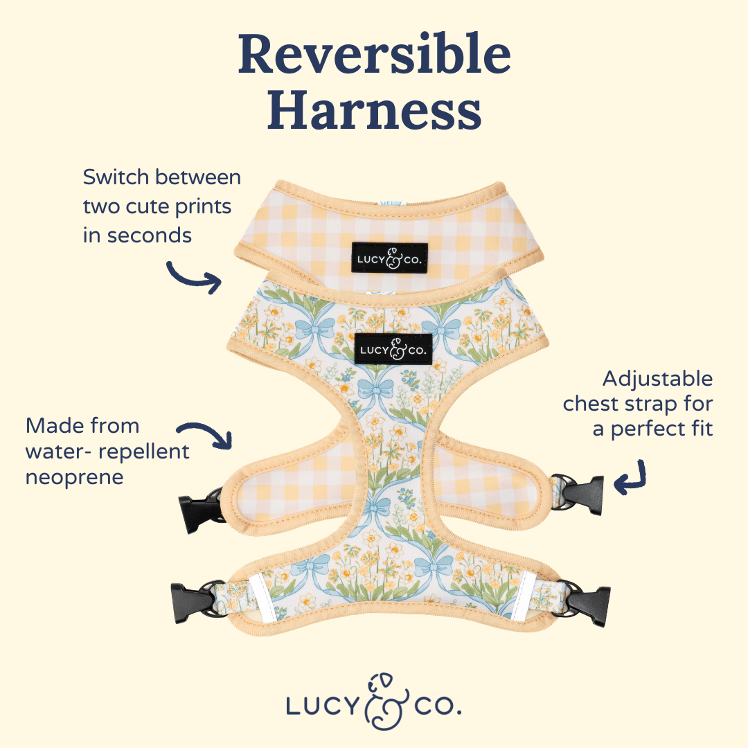 Sunshine and Daffodils Reversible Harness