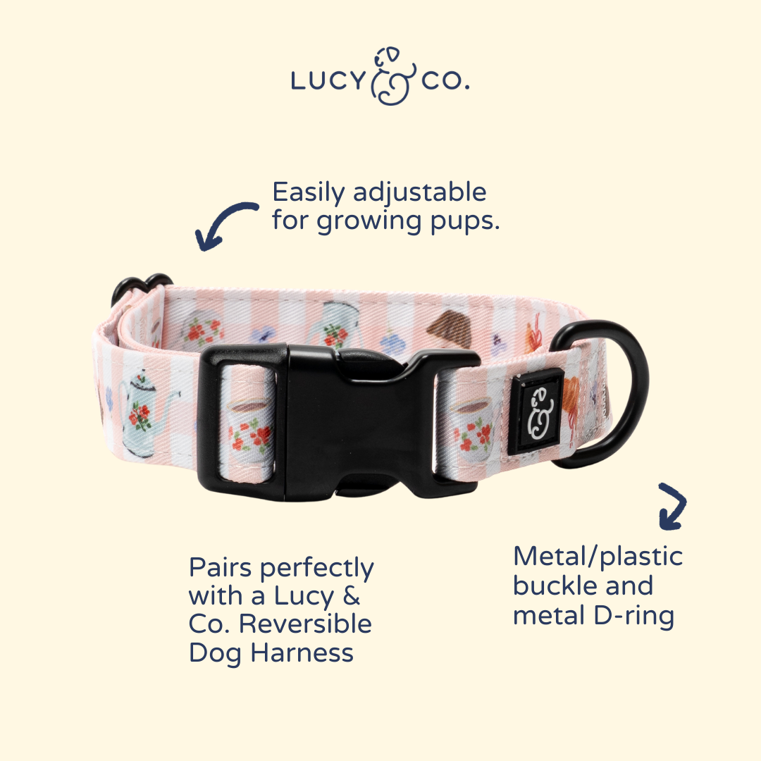 Sipping Slowly Collar