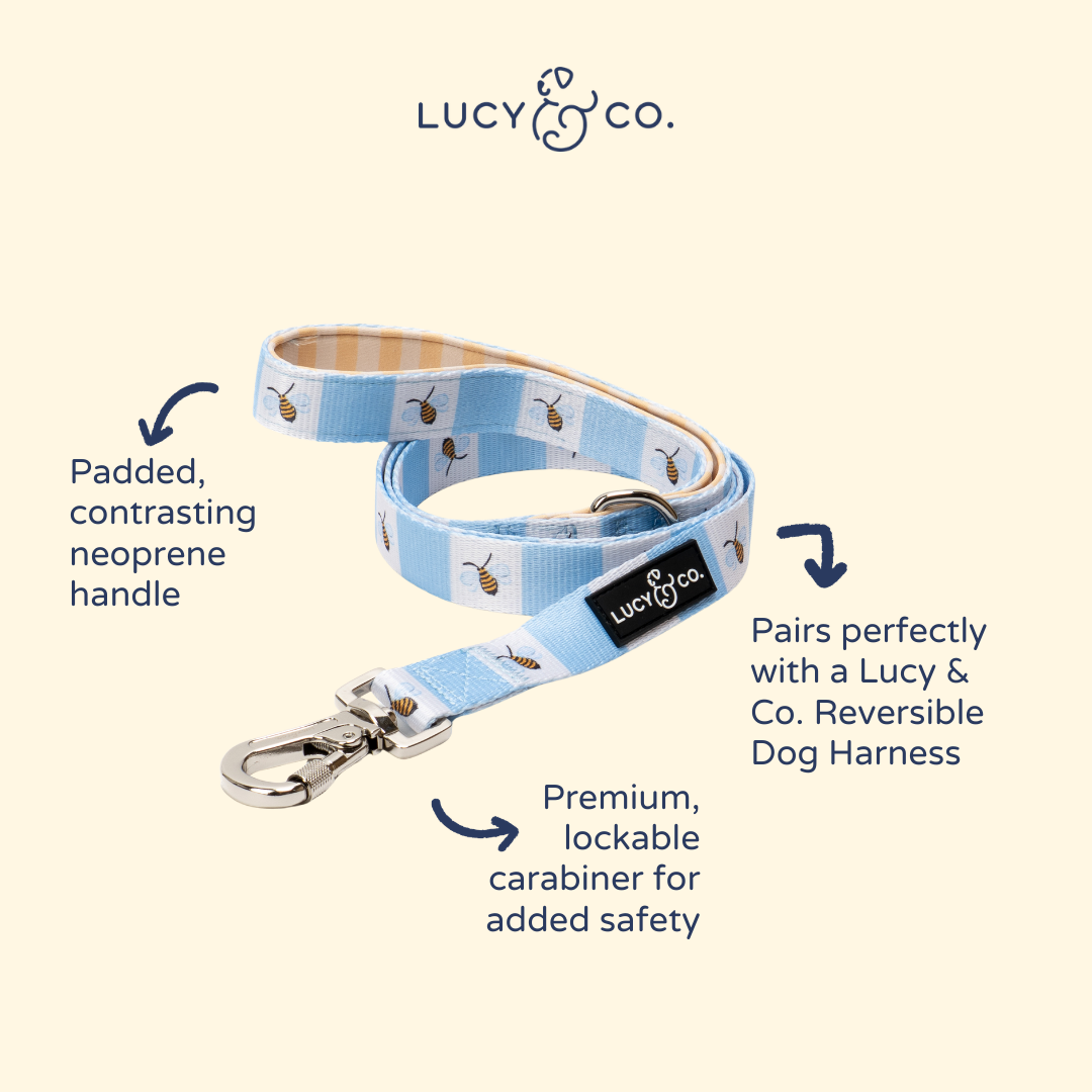 Bumbling Around Leash