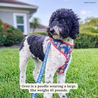 Red, White & BBQ Leash