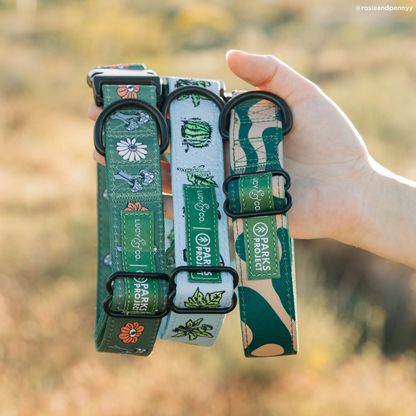 Feel the Earth Breathe Collar