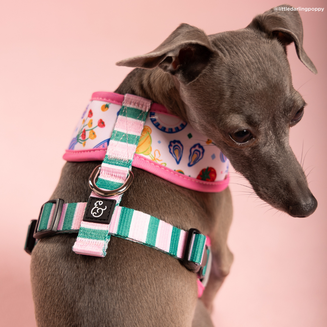 Dolce Vita Reversible Harness