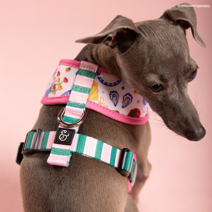 Dolce Vita Reversible Harness