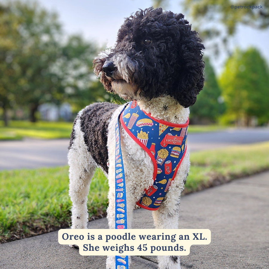 Red, White & BBQ Reversible Harness