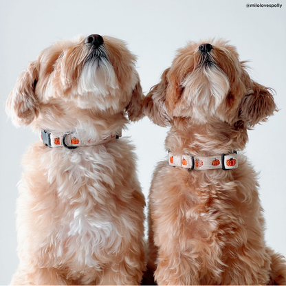 Oh My Gourd Collar