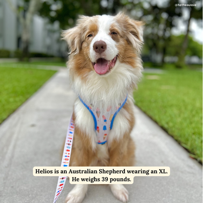 Sundae Kinda Love Reversible Harness