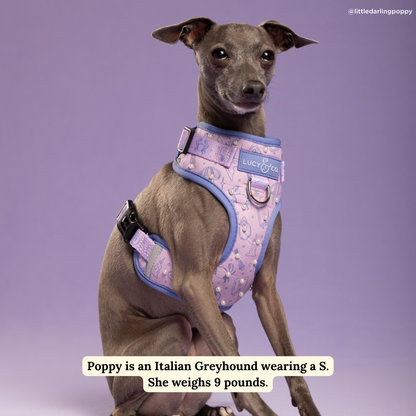 Magnificent Mermaids Pearl No-Pull Harness