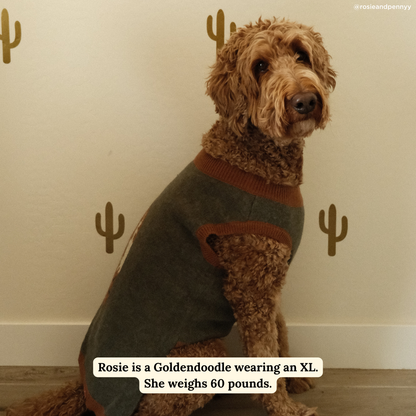 Giddy Up Sweater