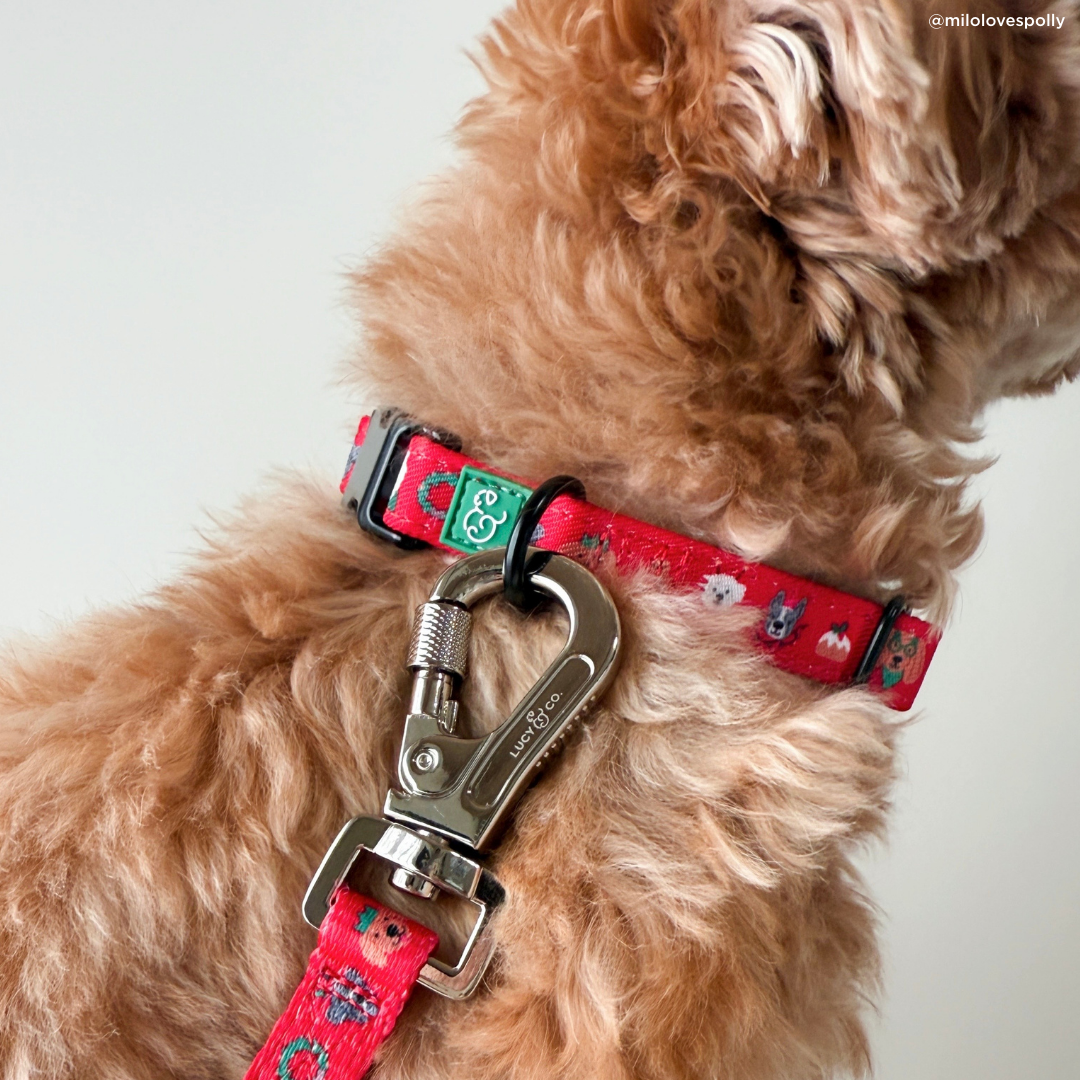 Happy Howlidays Collar