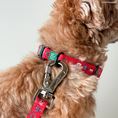 Happy Howlidays Collar
