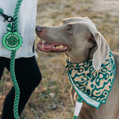 Fern Hands-Free Rope Leash