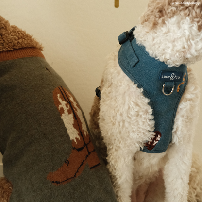 Giddy Up No-Pull Harness