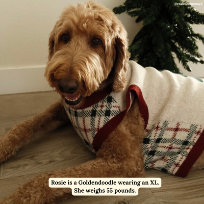 Snow Much Fun Sweater