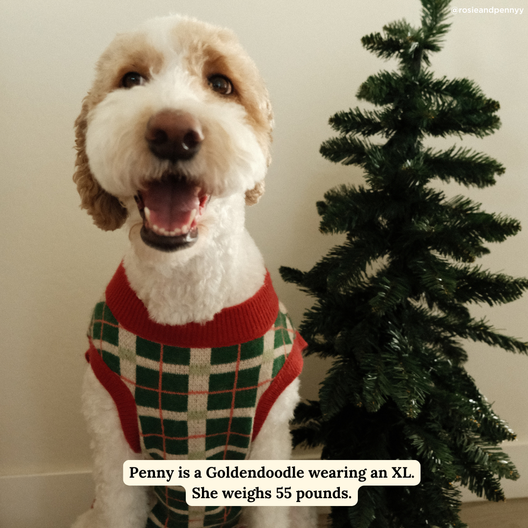 Happy Howlidays Sweater