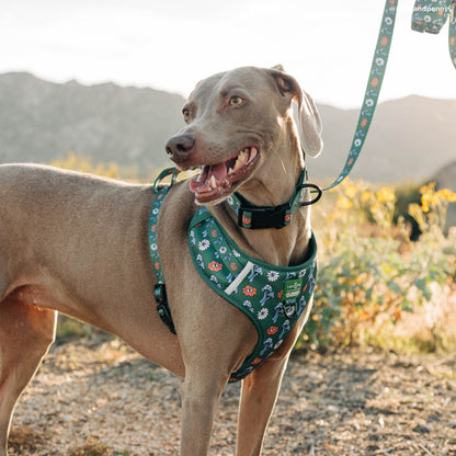 Lucy & Co. x Parks Project Power to the Parks No-Pull Harness