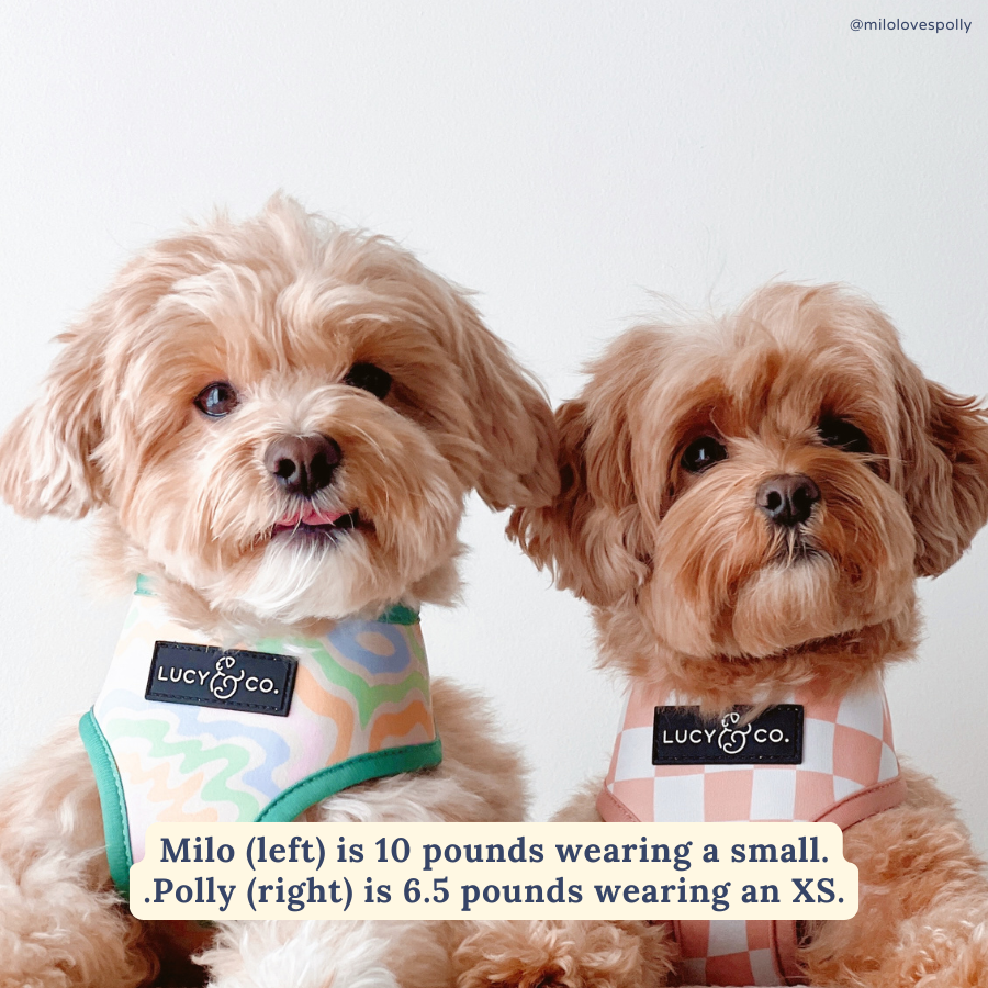 Just Chill Reversible Harness