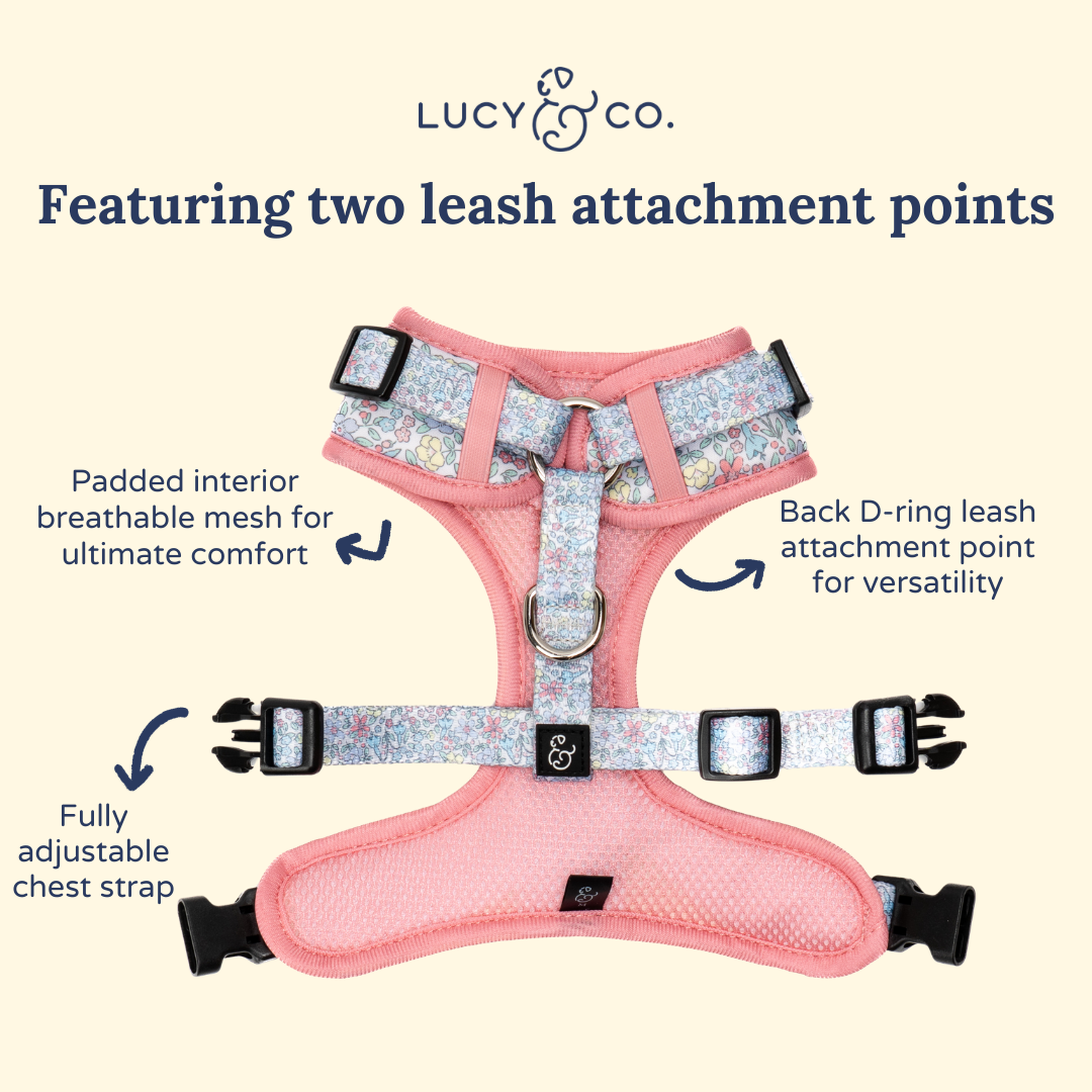 Ditsy Daydream No-Pull Harness