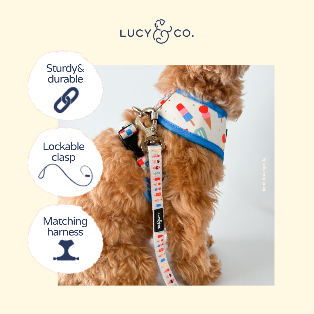Chocolate Meadows Corduroy Leash