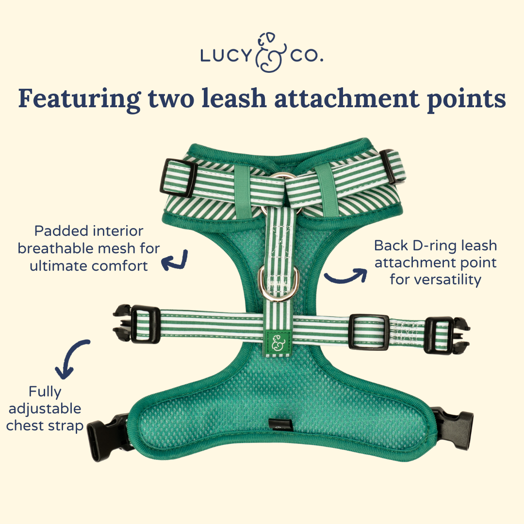 Tomato, Tomahto Embroidered No-Pull Harness